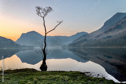 Canvas-taulu Buttermere Lone Tree