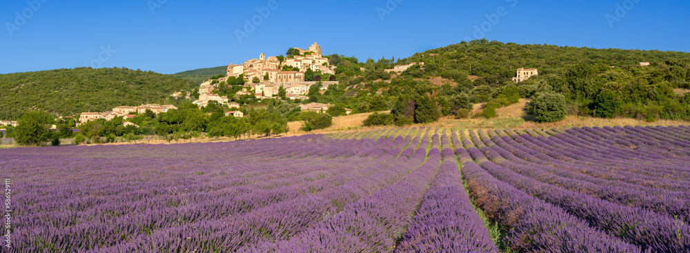 Fototapeta premium In the heart of Provence, the hilltop village of Banon with lavender fields in full bloom. Alpes-de-Haute-Provence, France