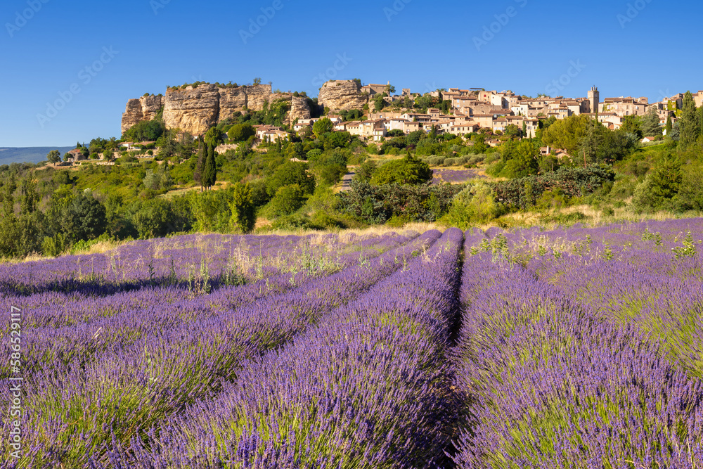 The village of Saignon in Provence with lavender field in summer. Vaucluse, France - obrazy, fototapety, plakaty 