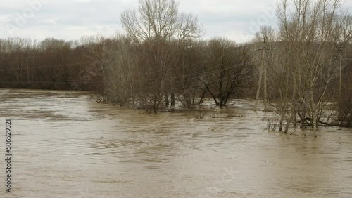 Trees and power poles stand in muddy water. Catastrophe flooding and water flow after rain. A weather disaster. River with muddy water. Natural disaster, extreme weather. Slow motion photo