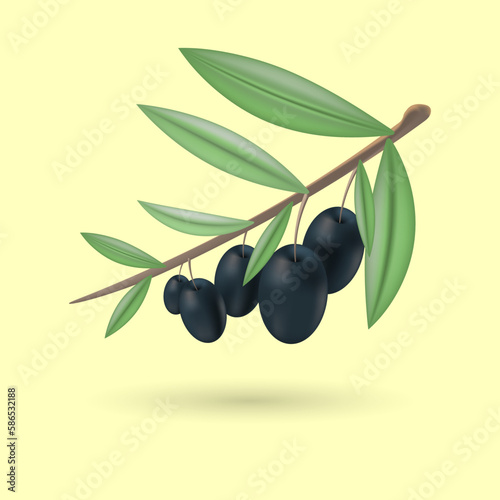 Olive realistic. Greek nature food olive branches
