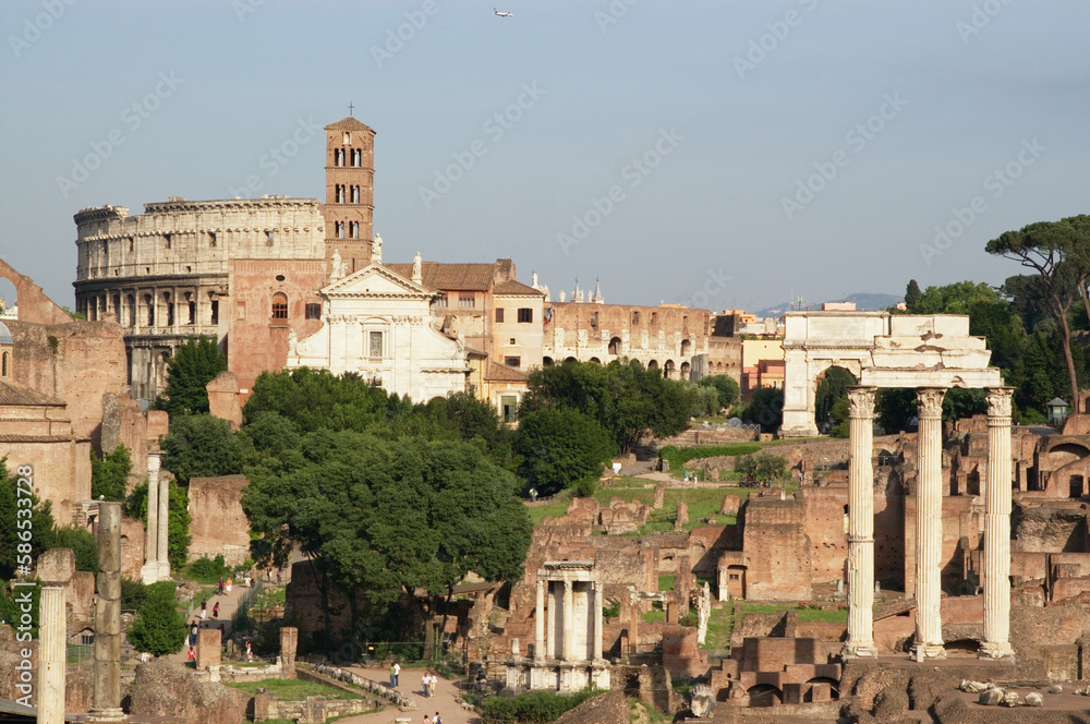 details of roman forum, Rome, Italy