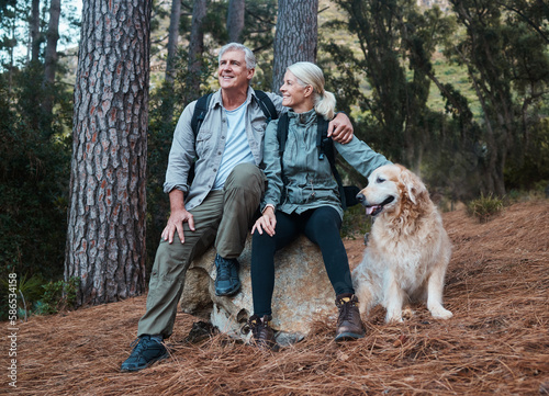 Forest, hiking and old couple with dog sitting on rock in mountains in Peru on retirement holiday adventure. Travel, senior man and woman relax together on nature walk with love, Labrador and health.