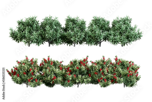 Plants in 3d rendering isolated on white background