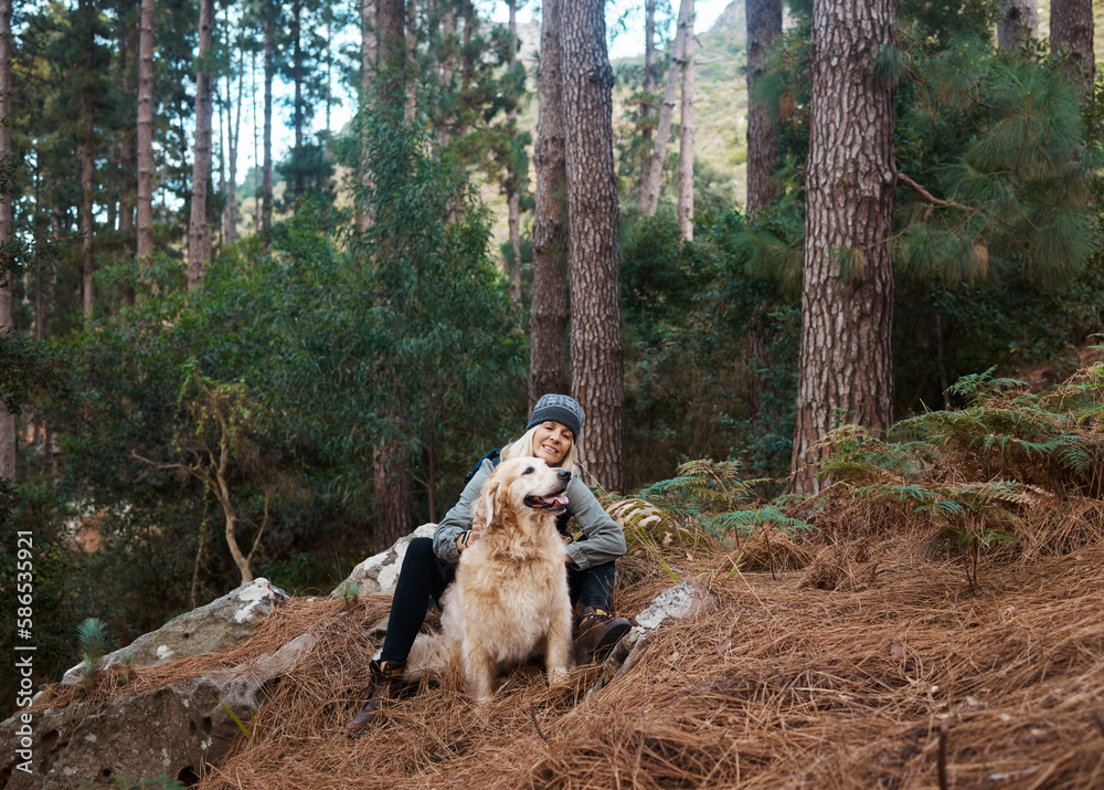 Senior woman, hiking with dog in forest and adventure, fitness with travel and pet with love and care. Nature, trekking and vitality with mature female and puppy outdoor with wellness and retirement