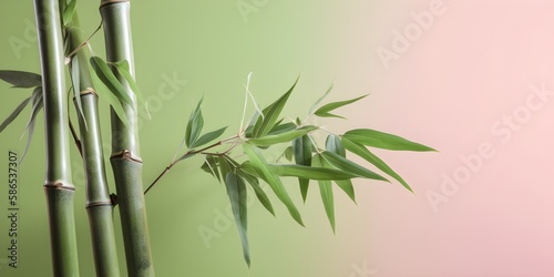 Bamboo Leaves On Pastel Colored Wall Background   Generative AI Artwork