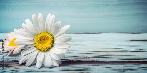 Daisy Flower On Pastel Colored Wooden Panel Background | Generative AI Artwork