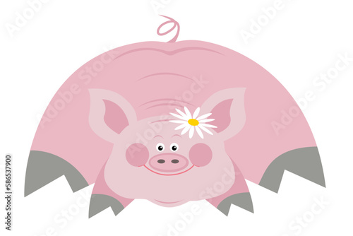 cartoon pig illustration