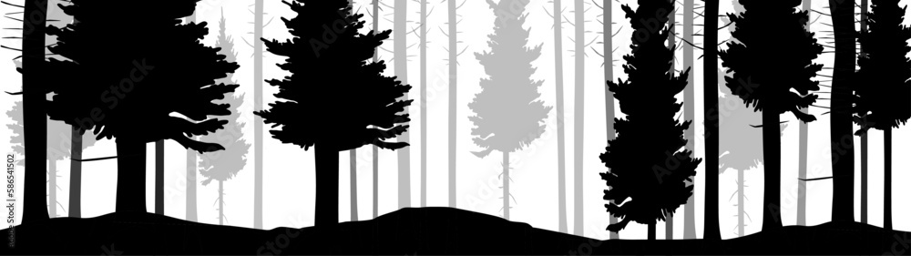 Obraz premium Forest black forest vector illustration banner misty fog forest landscape panorama adventure wildlife - Black gray silhouette of spruce and fir trees, isolated on white background