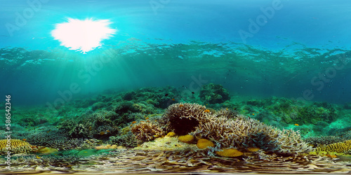 Reef Coral Tropical Garden. Tropical underwater sea fish. Colourful tropical coral reef. Philippines. 360 panorama VR © Alex Traveler