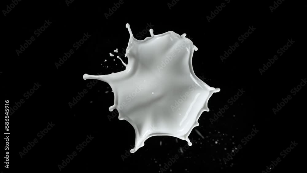 Super Slow Motion Shot of Milk Splash Flying Towards Camera Isolated on Black at 1000fps. Super Slow Motion Shot of Milk Splash Flying Towards Camera Isolated on Black at 1000fps.