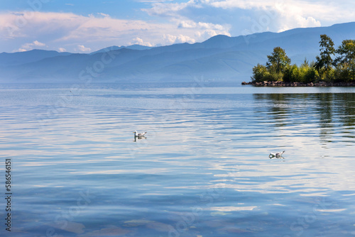 Beautiful summer landscape of the southern tip of Baikal Lake with seagulls on blue water and a mountain range in the distance on a sunny day. Natural background. Summer travel and outdoors