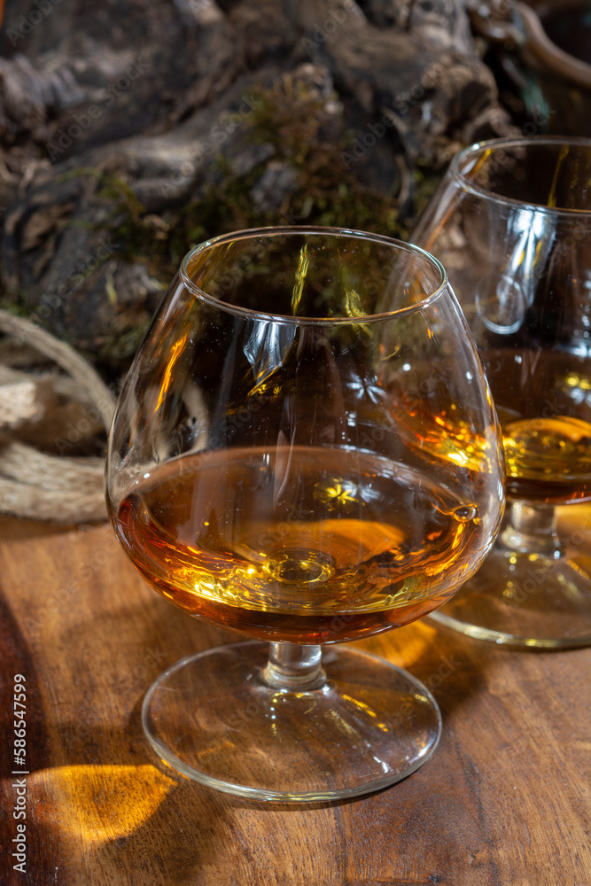 Tasting of aged french cognac brandy alcoholic drink in old cellars of cognac-producing regions Champagne or Bois, France