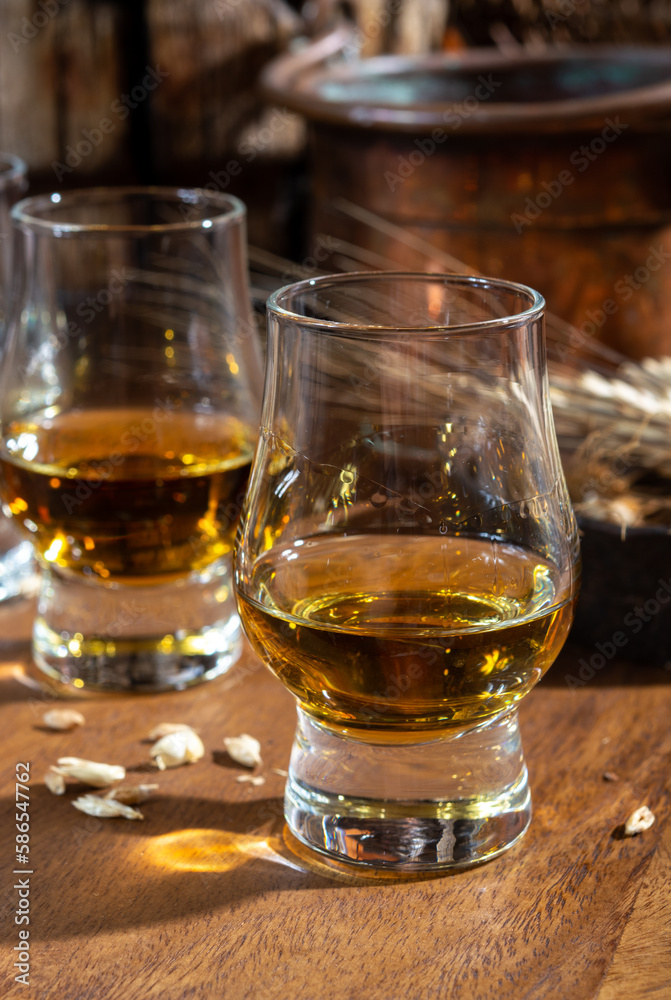 Small tasting glasses with aged Scotch whisky on old dark wooden vintage table with barley grains Small tasting glasses with aged Scotch whisky on old dark wooden vintage table with barley grains
