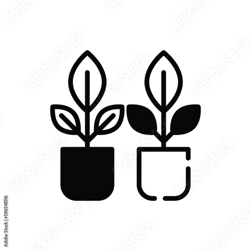 Plants icon. Suitable for Web Page, Mobile App, UI, UX and GUI design.