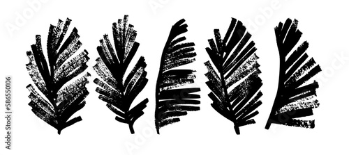 Exotic palm leaves in grunge style collection. Brush drawn tropical palm leaves isolated on white background. Handdrawn vector ink illustration with dry brush texture. Botanical tropical foliage.