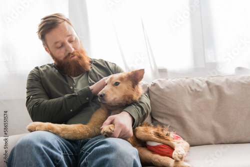 Bearded man hugging and looking at disabled dog on couch at home.