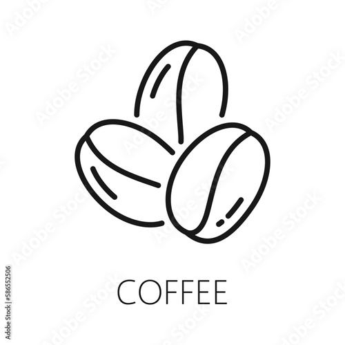 Coffee bean isolated americano drink ingredient outline icon. Vector coffee berry seed, aromatic arabica roasted bean. Raw fruit of coffee plant
