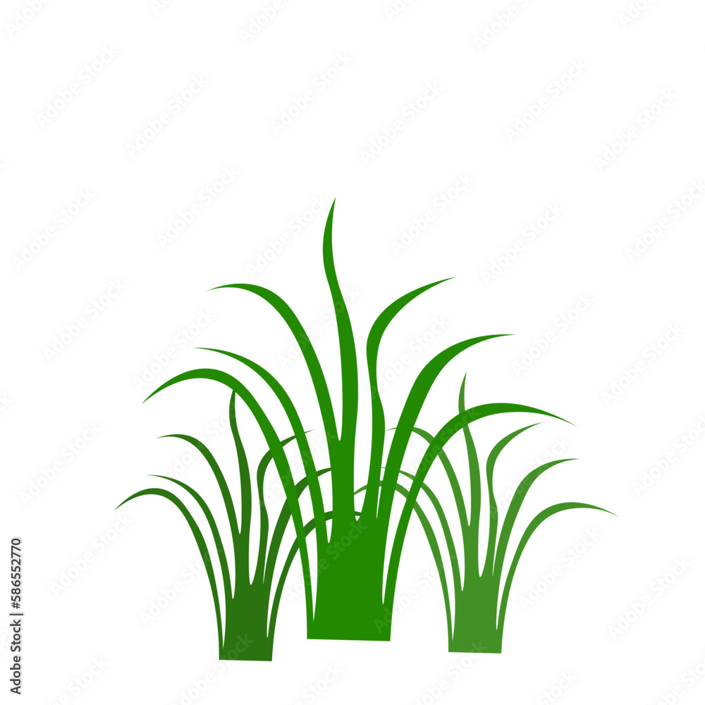 Grass Element Grass Element