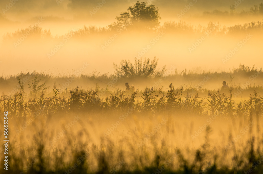 Fototapeta premium Sunrise at the Narew Valley, Poland