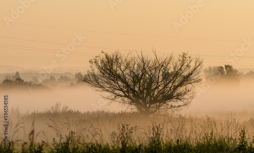 Sunrise in the Narew Valley, Poland