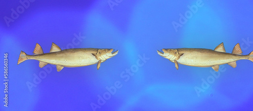 fish on blue background, generative ai