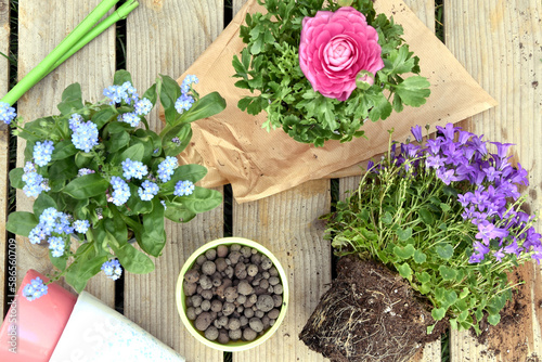 Top view spring Gardening, mix, collection garde equipment, bio diversity top view natural outdoor ambience colorful natural element paper kraft brown