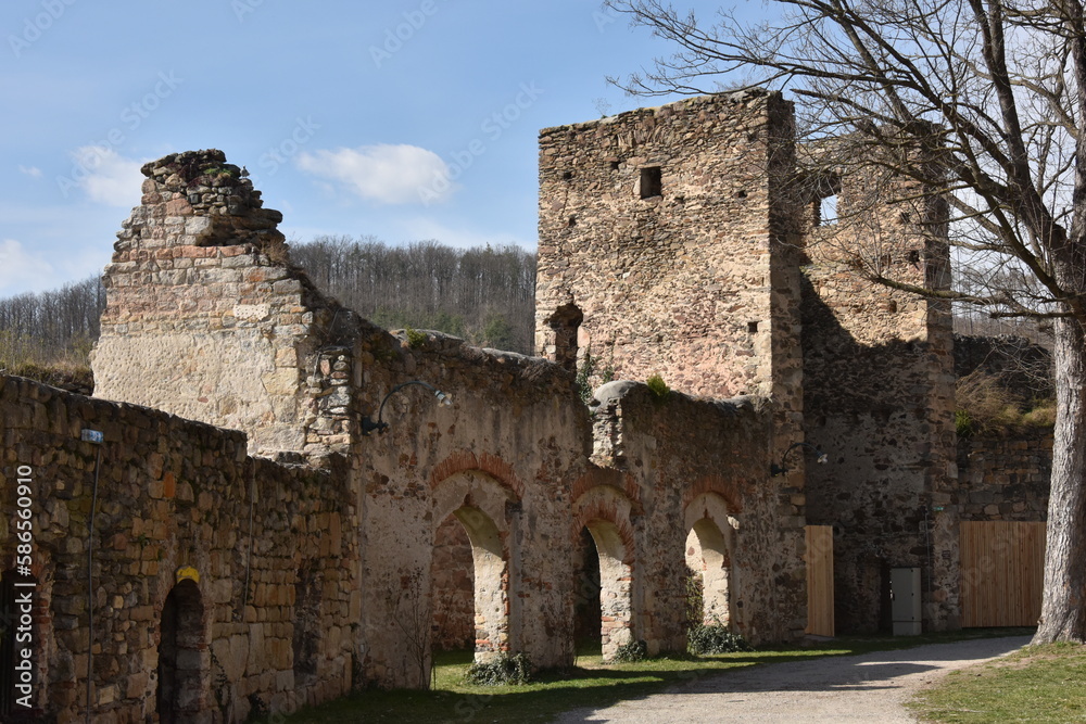 Burgruine Gars am Kamp, Österreich, 23.03.2023