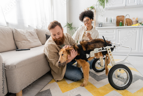 Man petting handicapped dog near african american girlfriend with coffee in kitchen. © LIGHTFIELD STUDIOS