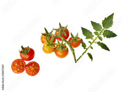 tomato with leaf on white background.
