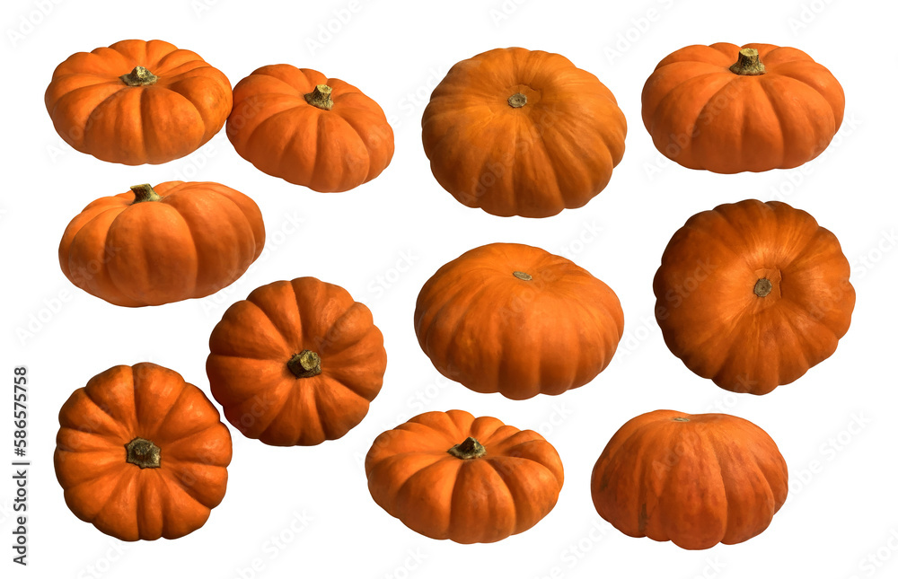 Yellow mini pumpkin vegetable set seasonal image for autumn holiday thanksgiving and halloween design isolated on the white background, clipping path Yellow mini pumpkin vegetable set seasonal image for autumn holiday thanksgiving and halloween design isolated on the white background, clipping path