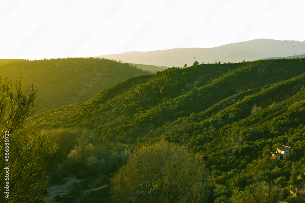 Nature in Spain. National Reserve, mountainous hilly area with green trees in forest, woods. The hills in haze against sky. Natural wallpaper. A concept of ecology, tranquility, travel destination.