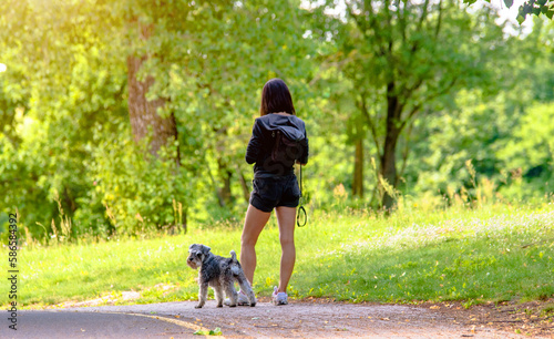 Girl with a dog walking on the road in the Park
