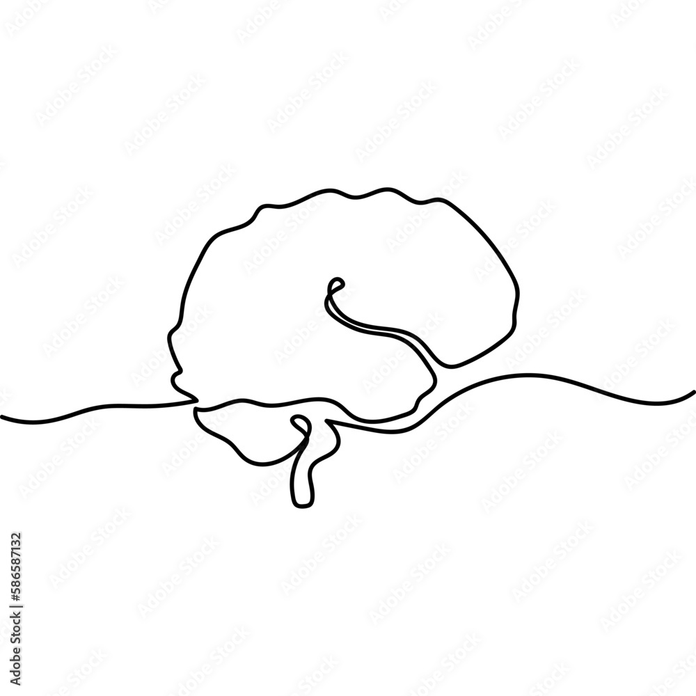 Fototapeta premium Single one line drawing brain anatomy. Human organ illustration. Medical concept.