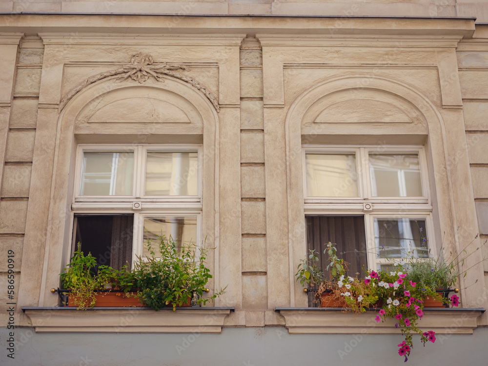 beautiful vintage windows with flowers in pots in the center of the old town. Summer Travel to capital of Austria. details of the facades of beautiful old houses