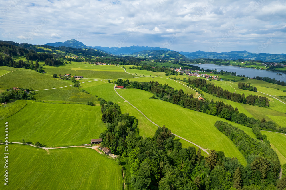 aerial view of green fields of allgaeu and meadows and alps in the background