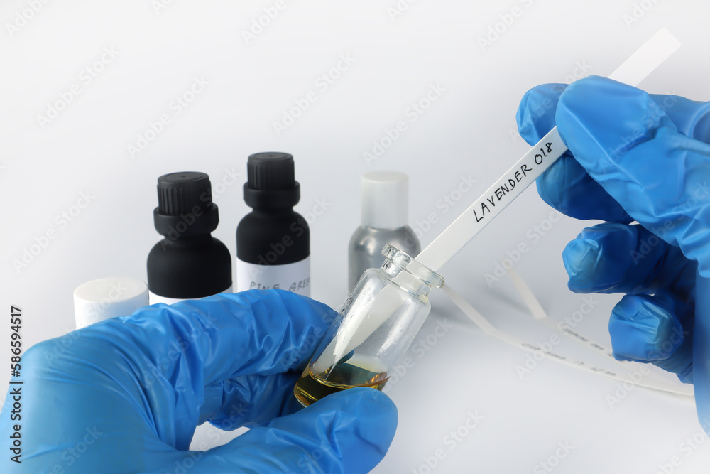 Fototapeta premium chemical beaker , flask is in left hand with blotting paper , fragrance bottle and essential oil bottle are used to blend the nice scent for making perfume and candle by perfumer in the laboratory