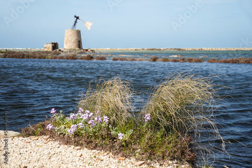 Natural reserve of the Saline dello Stagnone, near Marsala and Trapani, Sicily.