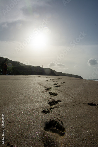 Footprints in the sand. Beach tour. Sunset at sea. Holidays on a paradisiacal beach.

 photo