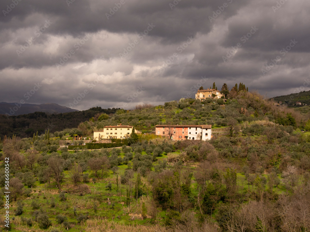 Italia, Toscana, campagna della provincia di Pistoia.