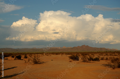 Storm Clouds Sonora Desert Arizona