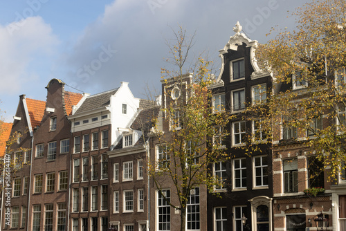 Row of Beautiful Old Buildings with Colorful Trees during Autumn in the Amsterdam Centrum District