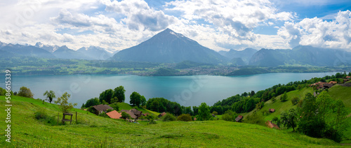 view on Lake thun with Alps and green meadow in Switzerland