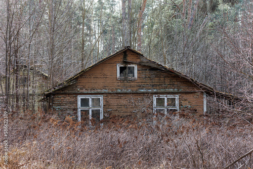 Wooden abandoned house surround by bushes and trees