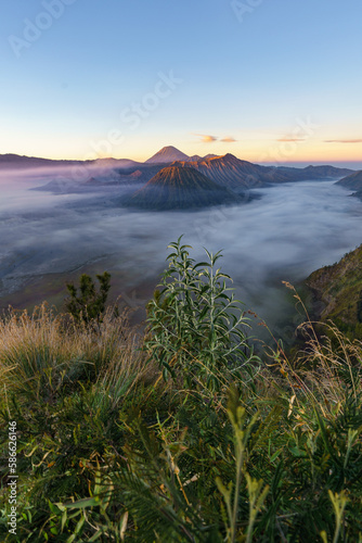 Morning view of mount Semeru and Bromo in east java