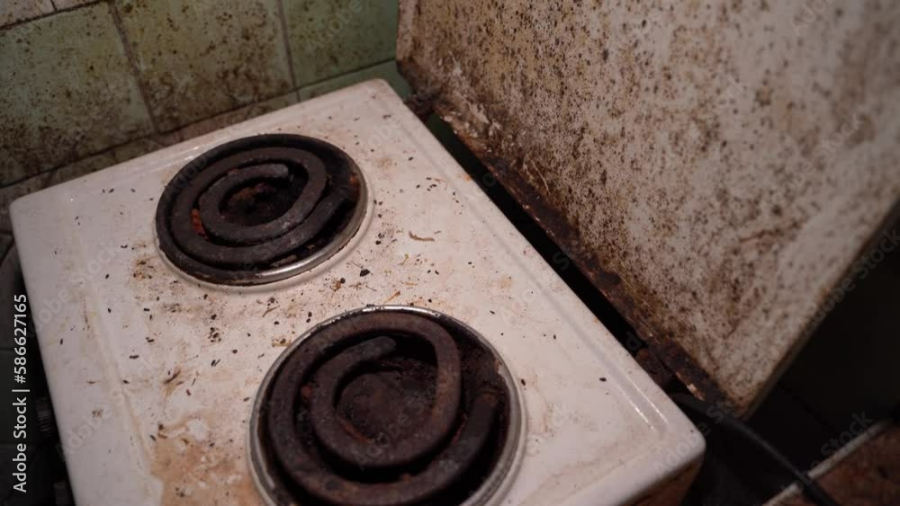 Mold Fungus And Mouse Droppings On An Old Kitchen Electric Stove   1000 F 586627165 JfhlOBGKtOhgAvlez2ZXb3EEwuMGxqWx 