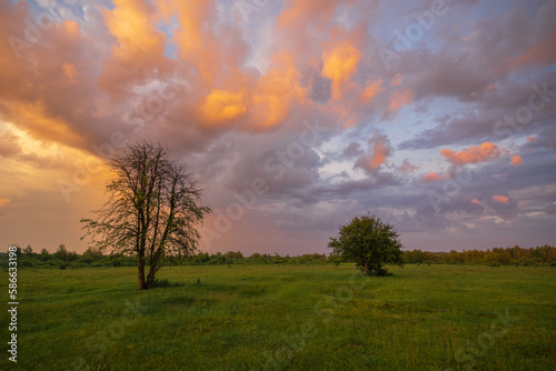 Wallpaper Mural sunset in the field Torontodigital.ca