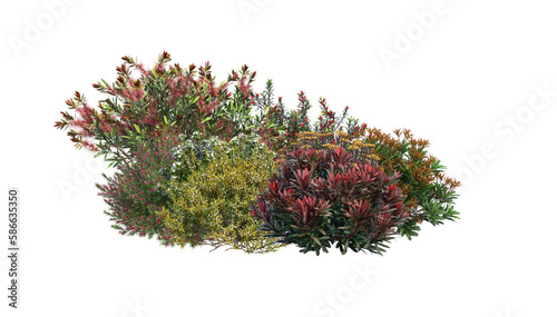 A small garden with many flowers and plants on a transparent background.