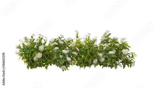 A small garden with many flowers and plants on a transparent background.