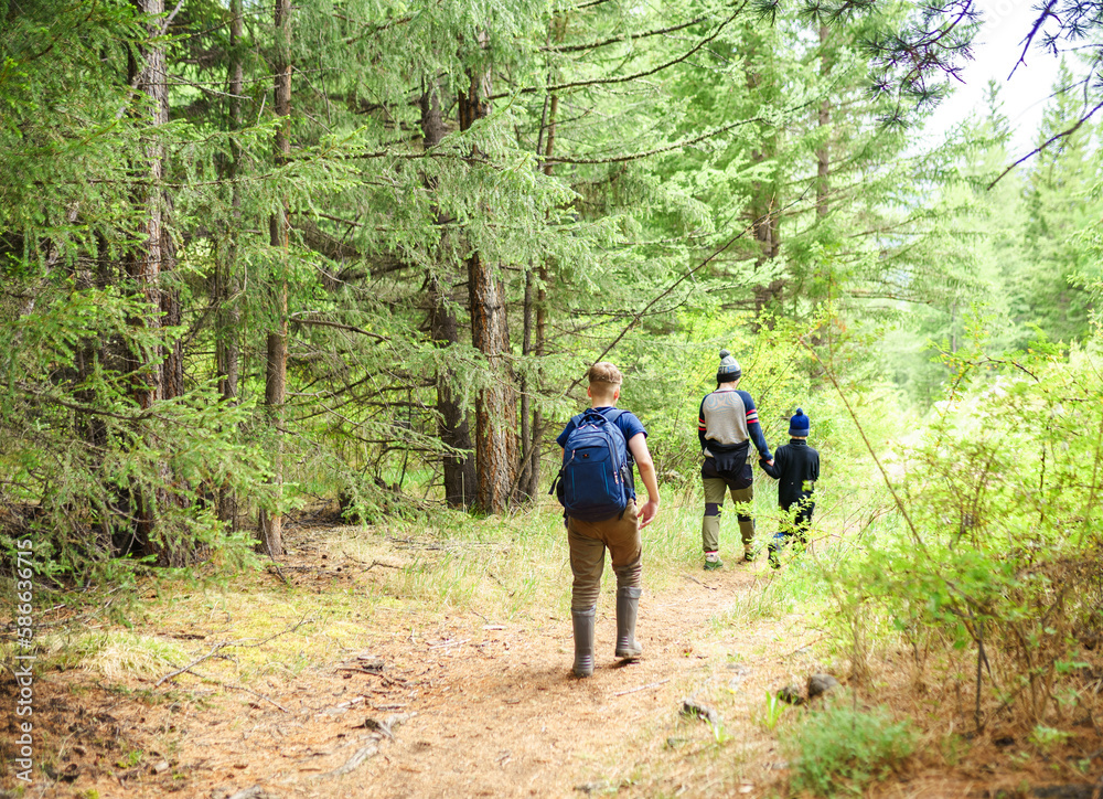 Fototapeta premium hiking in the woods